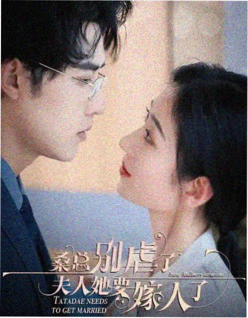 群星返场影视同人小说推荐榜单封面
